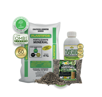 lÍnea plantifor mineral